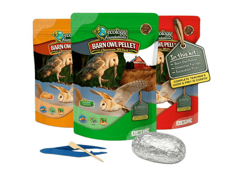 Owl Pellet Science That Grows With Your Students