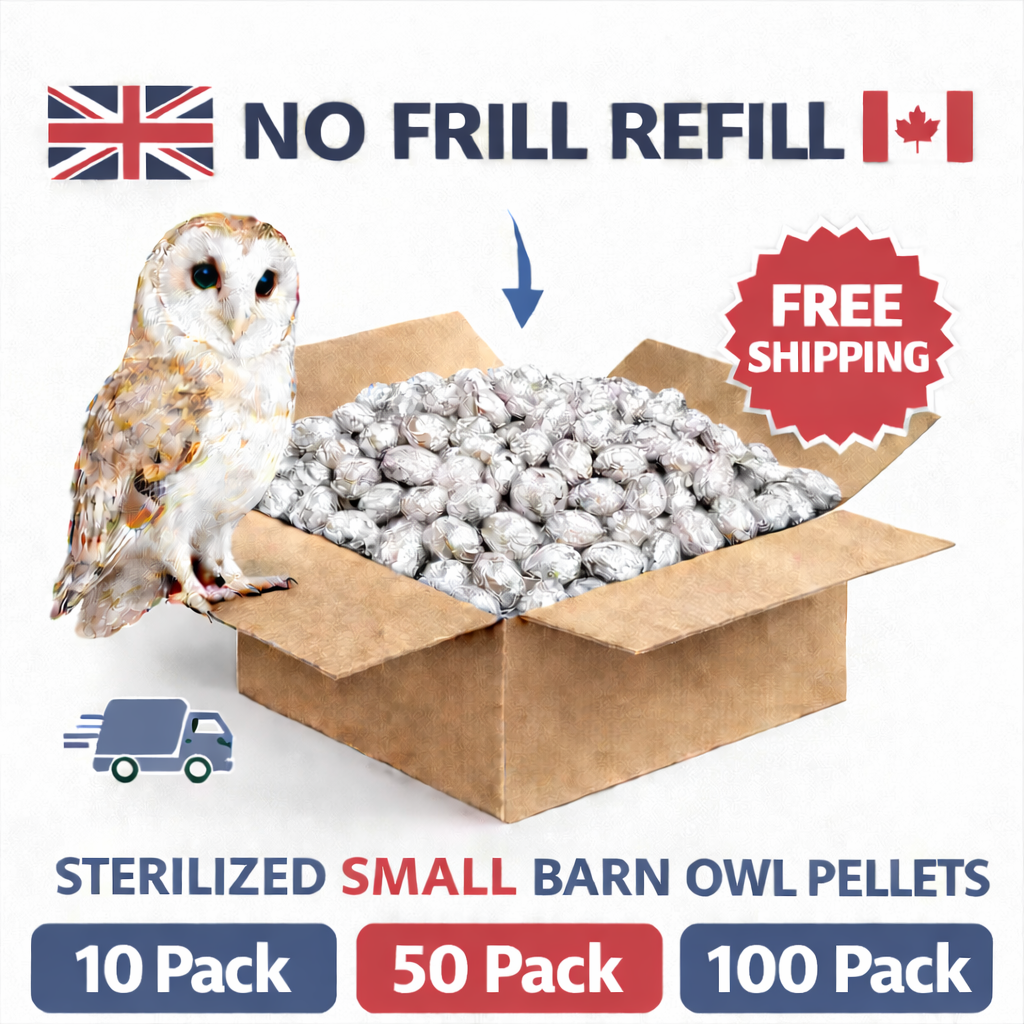 NO FRILL REFILL - 50 Small Barn Owl Pellets To Canada (Price in USD)