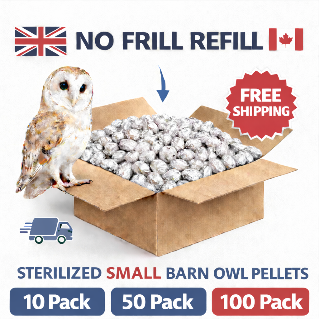 NO FRILL REFILL - 100 Small Barn Owl Pellets To Canada (Price in USD)