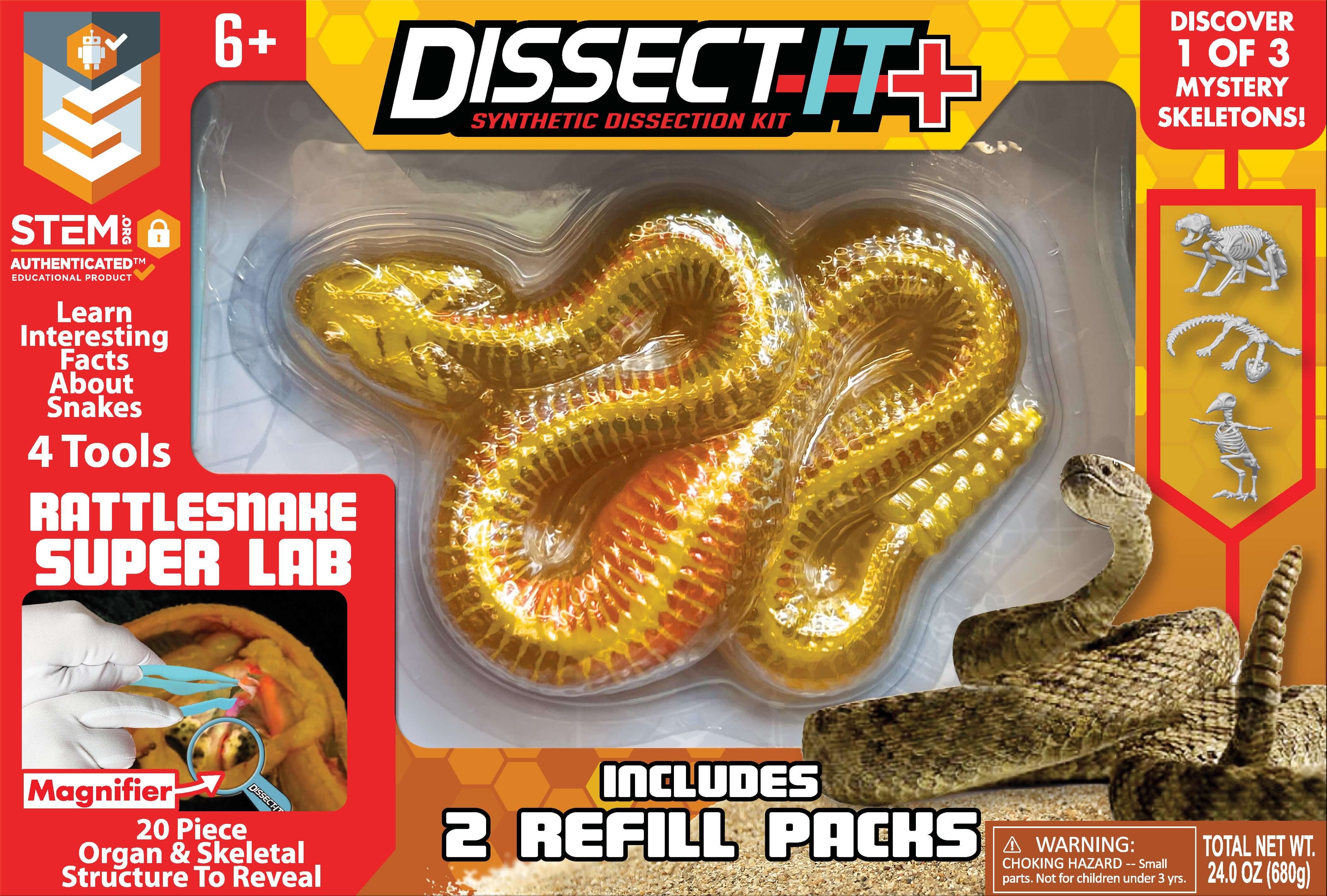 Dissect It Rattlesnake Super Lab – Owl Brand Discovery Kits