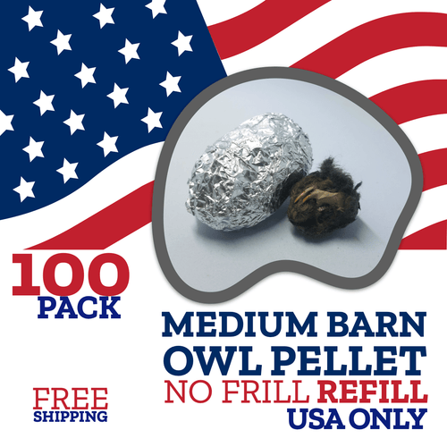 100 Medium Owl Pellets - Free Shipping