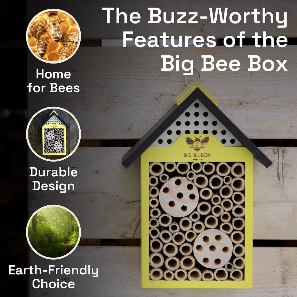 Bee House (Includes Shipping)