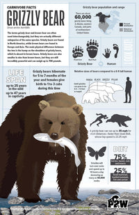 Grizzly Bear Facts 11x17 Poster