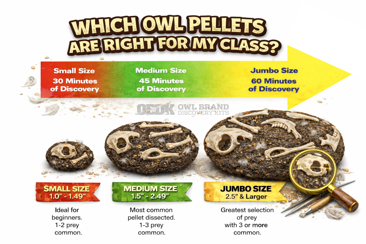 Owl Pellet Size Guide