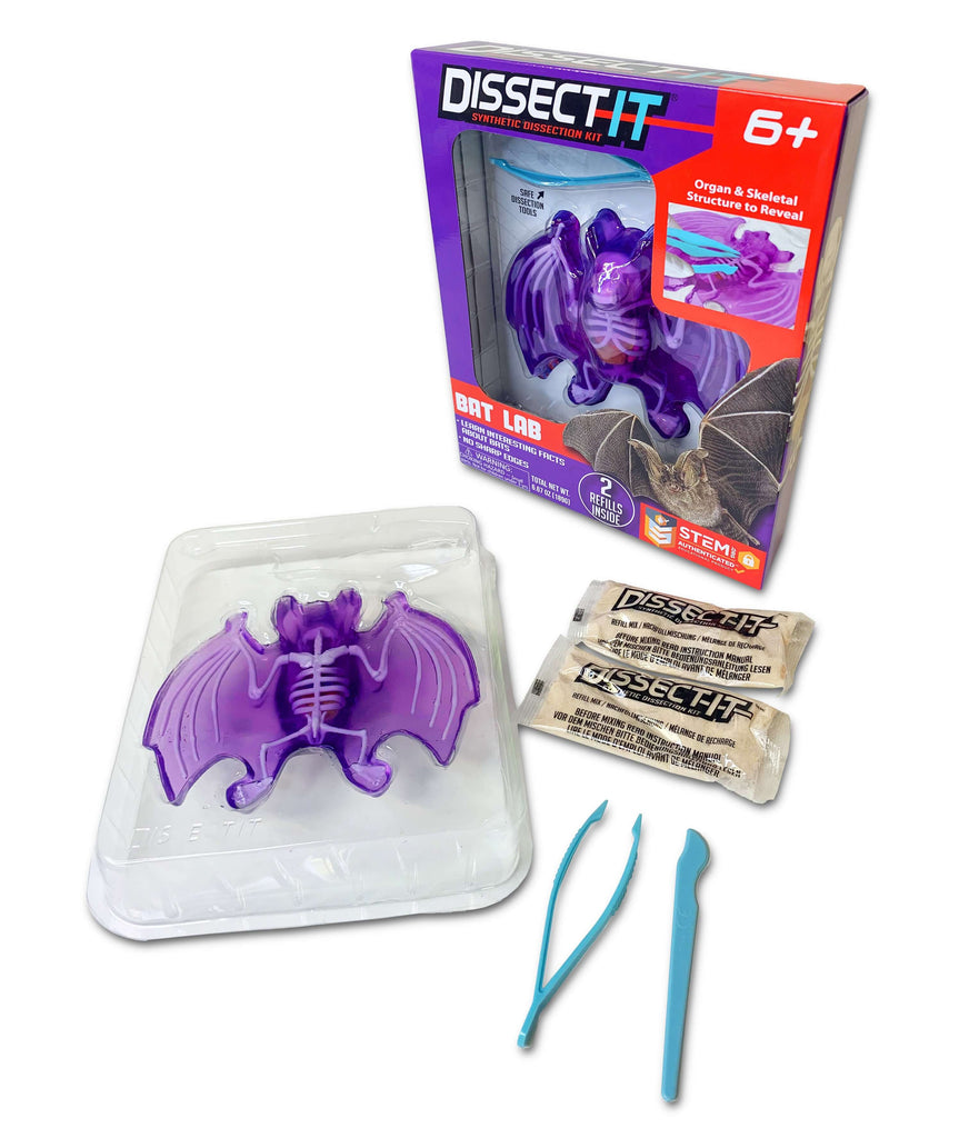 Scout Dissect-It Vleermuis – Ontleedset Voor Kinderen, 14 Cm, Met Skelet En Organen, Inclusief Gereedschap, Vanaf 5 Jaar