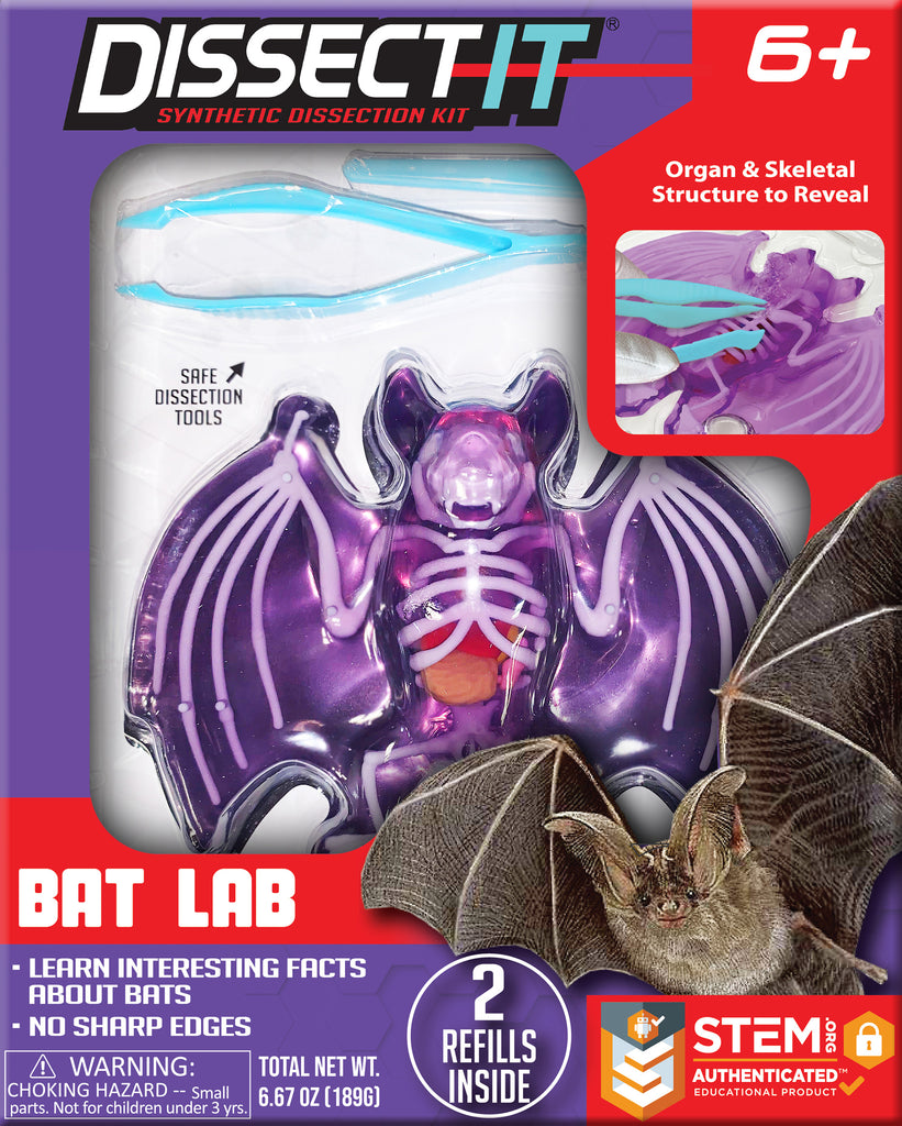 Dissect It Bat Lab