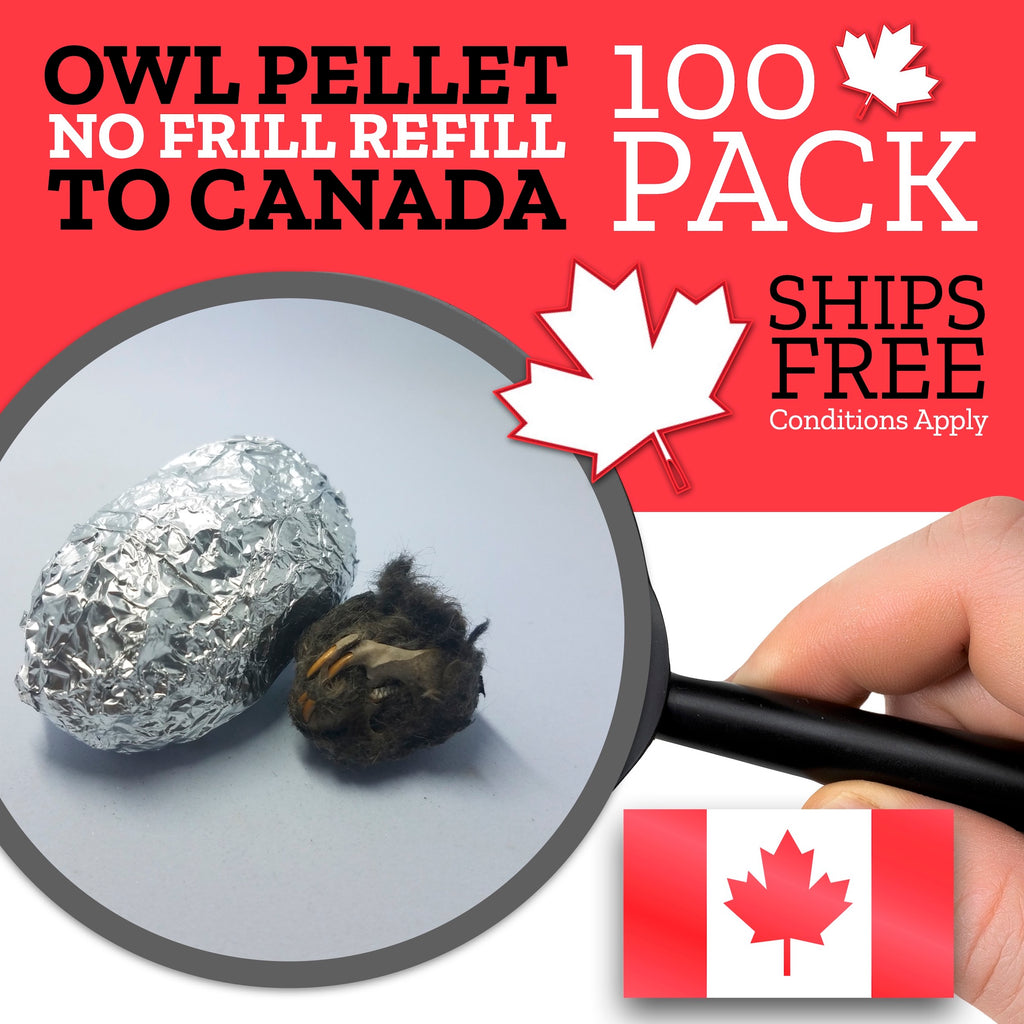 CANADA ONLY - 100 Medium Owl Pellets - Includes Shipping