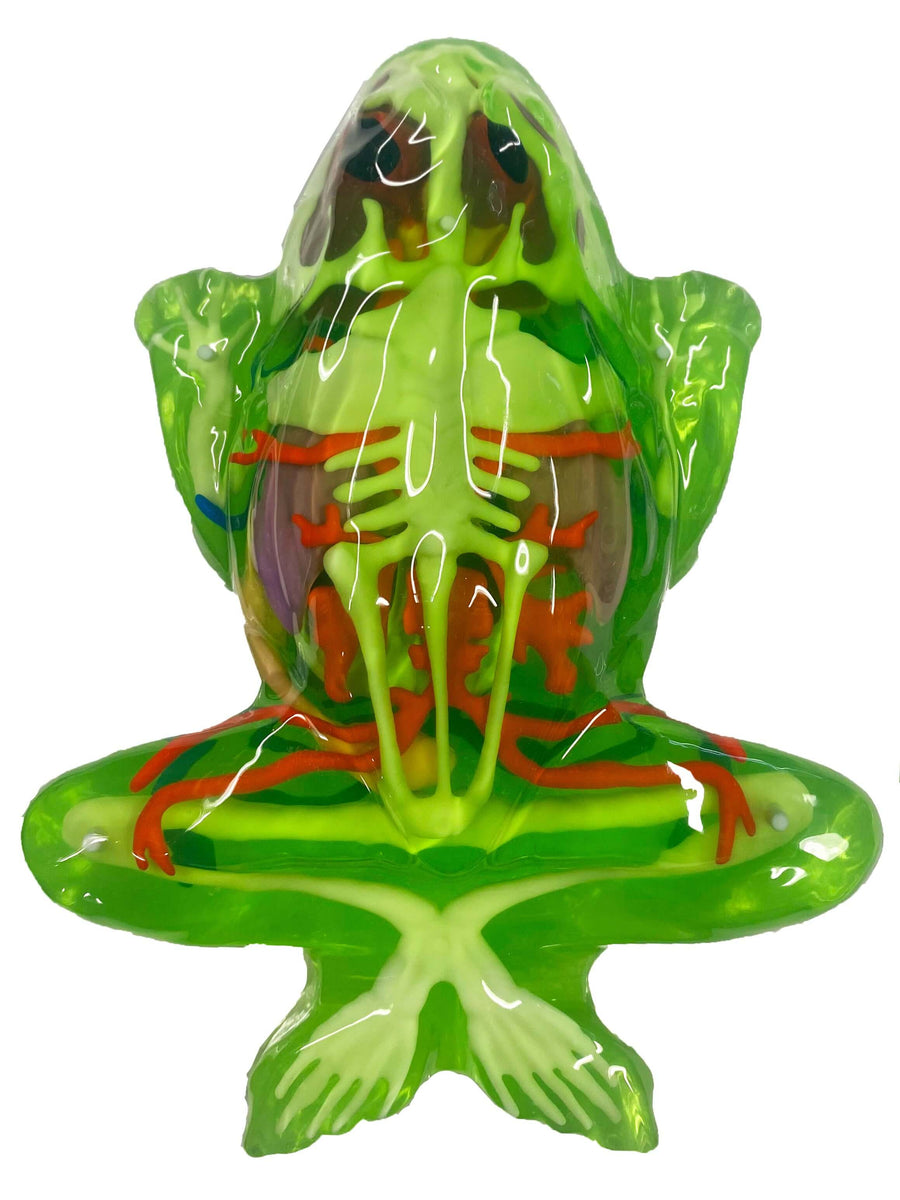 Dissect It Frog Super Lab - 2 Refills! – Owl Brand Discovery Kits