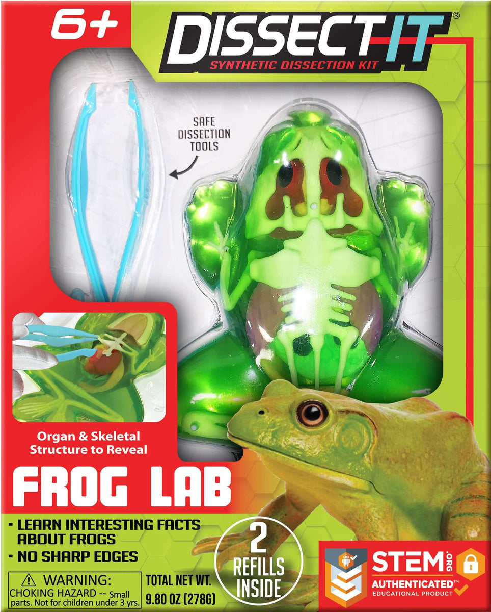 Brand Dissection Frog Dissection Dissect It: Synthetic Dissection Kit Frog Lab Ages