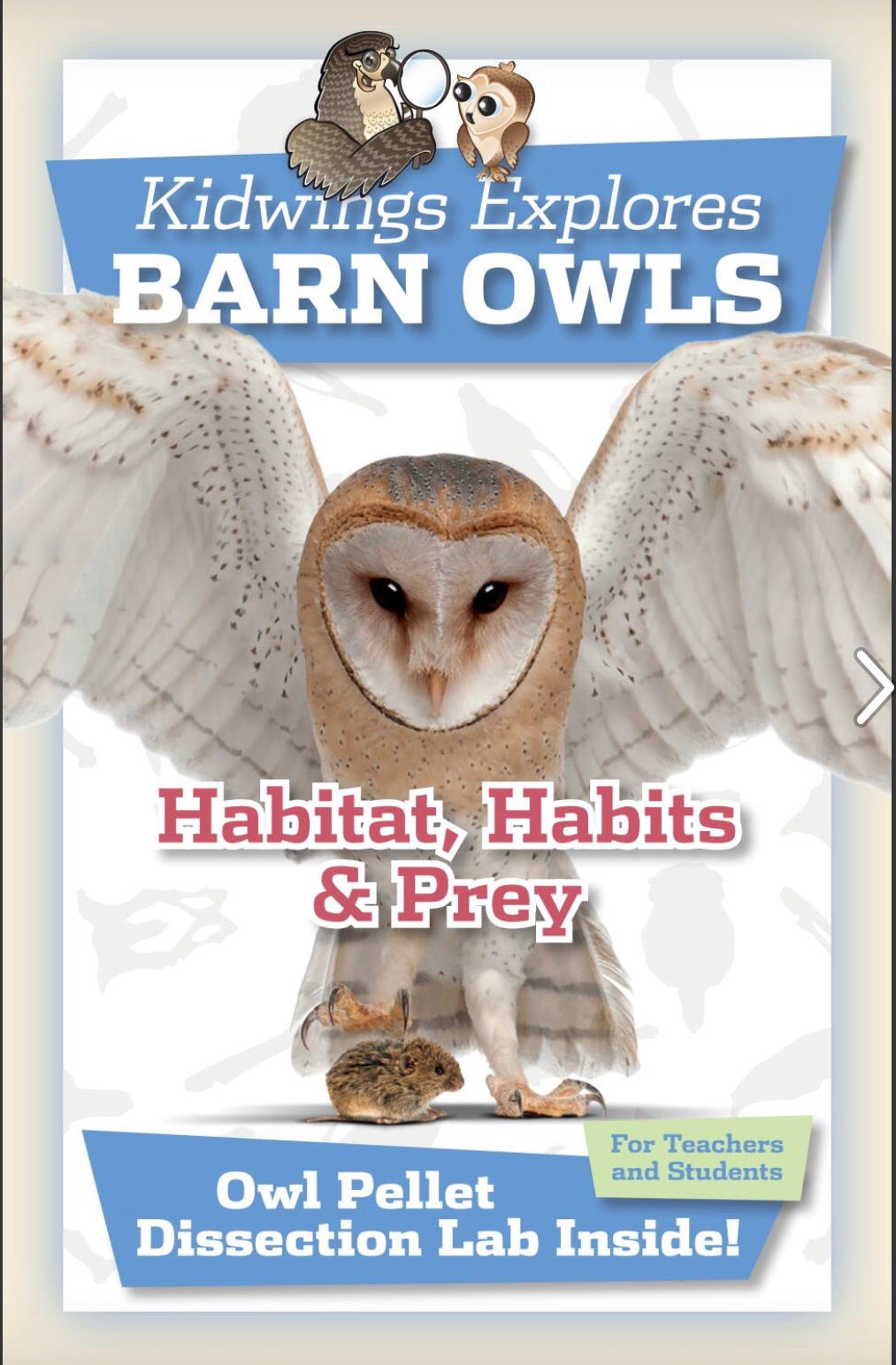 Barn Owl Pellets For Owl Pellet Dissection & Study