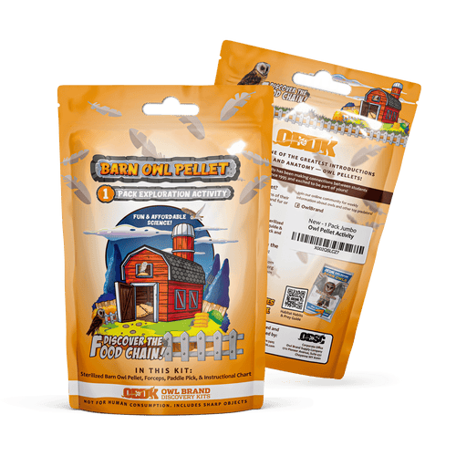 Extra-Large 1-Pack Exploration Activity