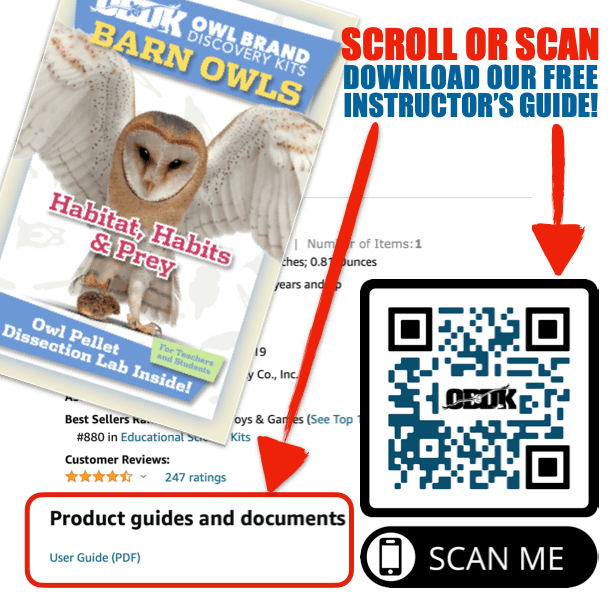 Medium 1-Pack Exploration Activity instructional guide for Owl Brand Discovery Kits and owl pellets.