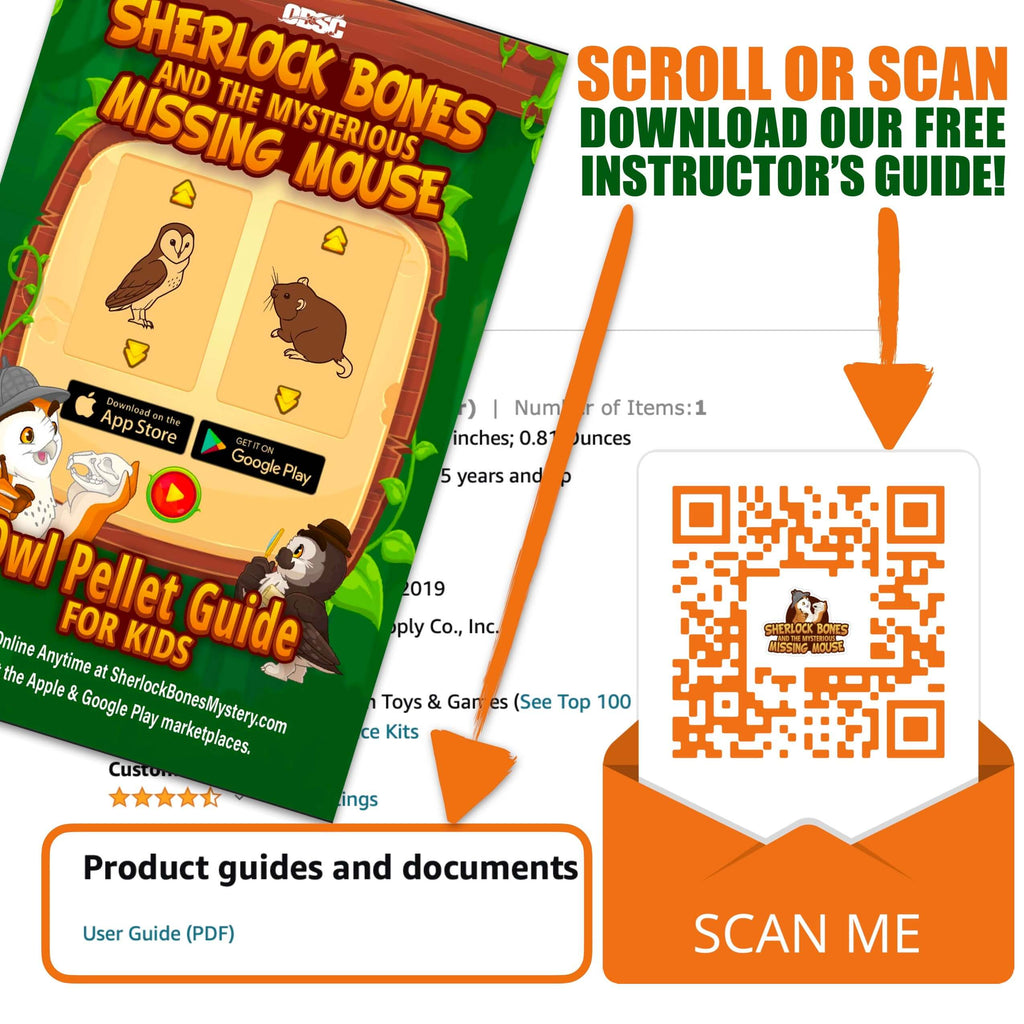 Medium 1-Pack Exploration Activity with Owl Pellet Guide for Kids and download QR code for free instructor's guide