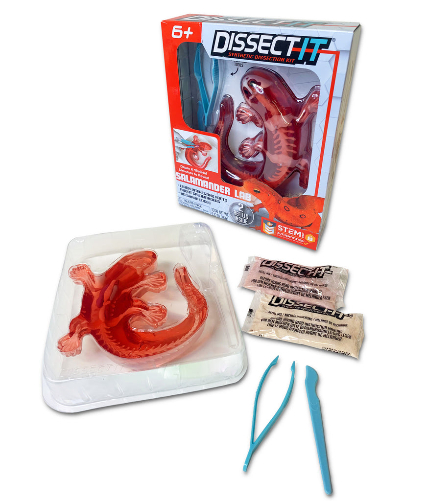 dissect