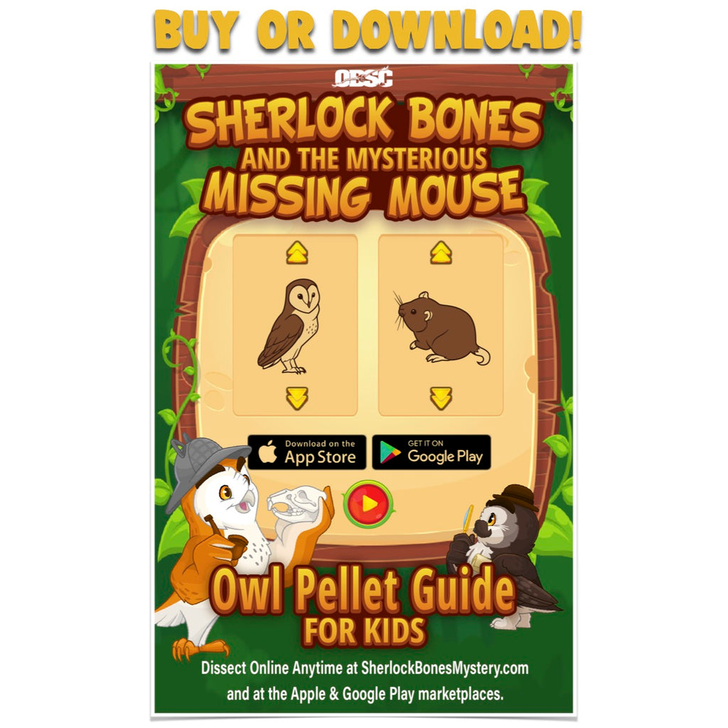 Sherlock Bones Owl Pellet Guide for Kids