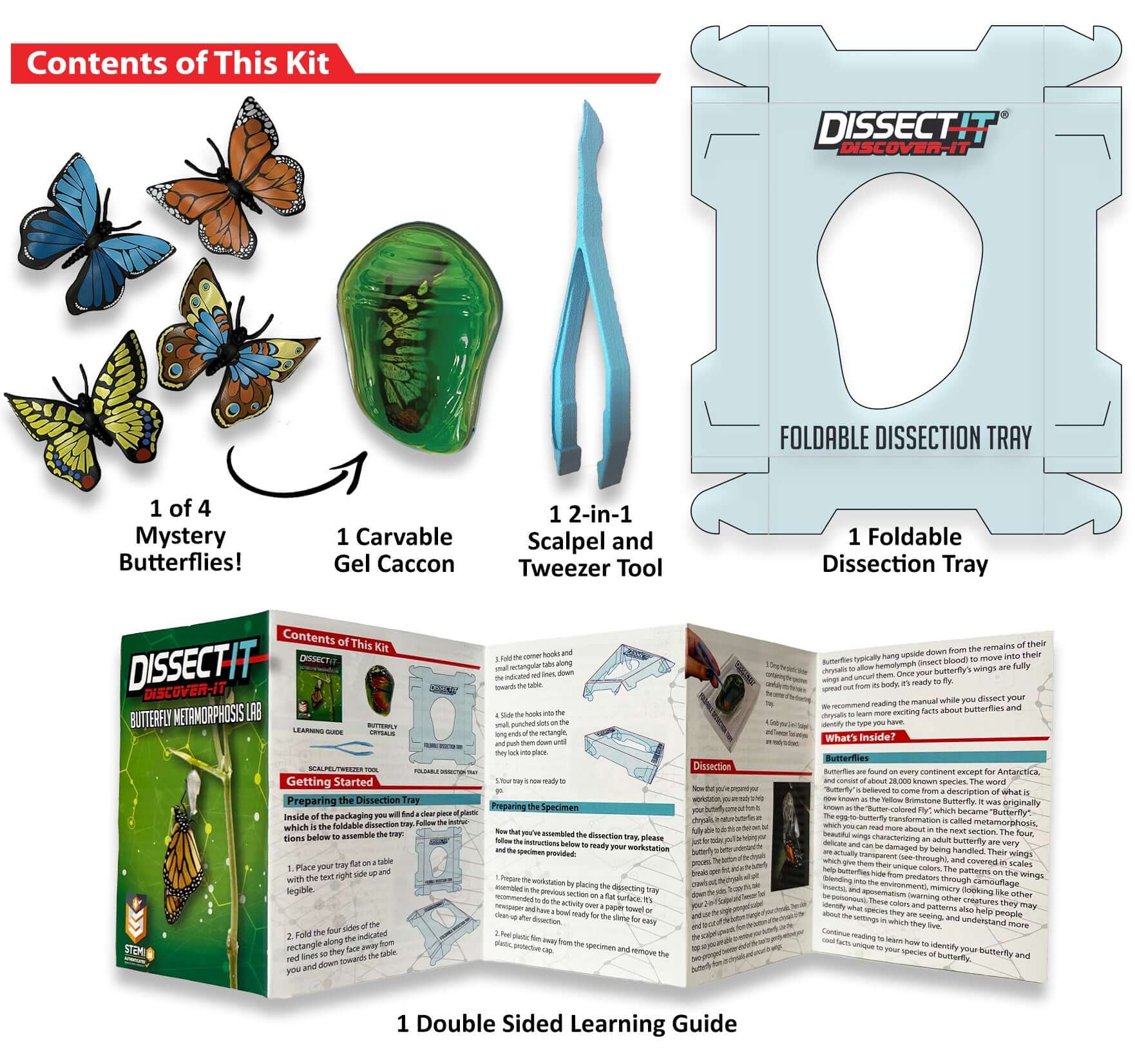 Discover It - Butterfly Lab – Owl Brand Discovery Kits